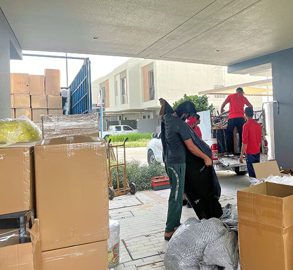 About Spider Packers and Movers